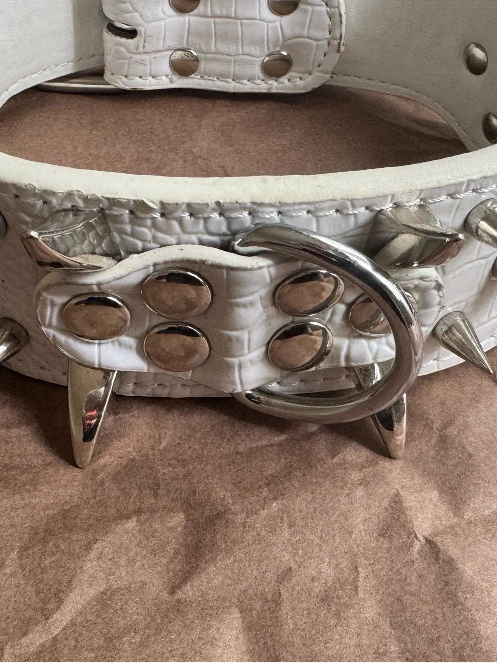 White Spiked Dog Collar | Medium 17–20”